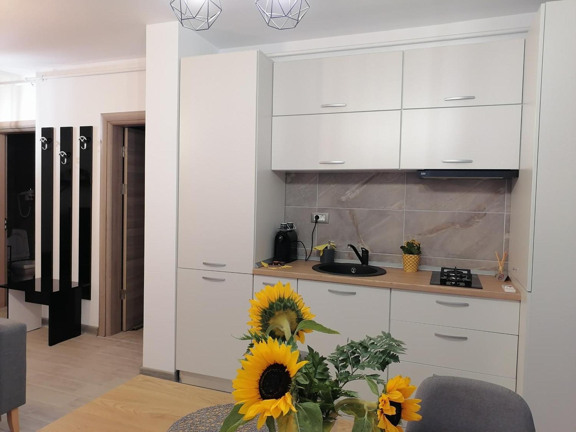 Alesea Ap-Alezzi Beach Resort Năvodari 외부 사진