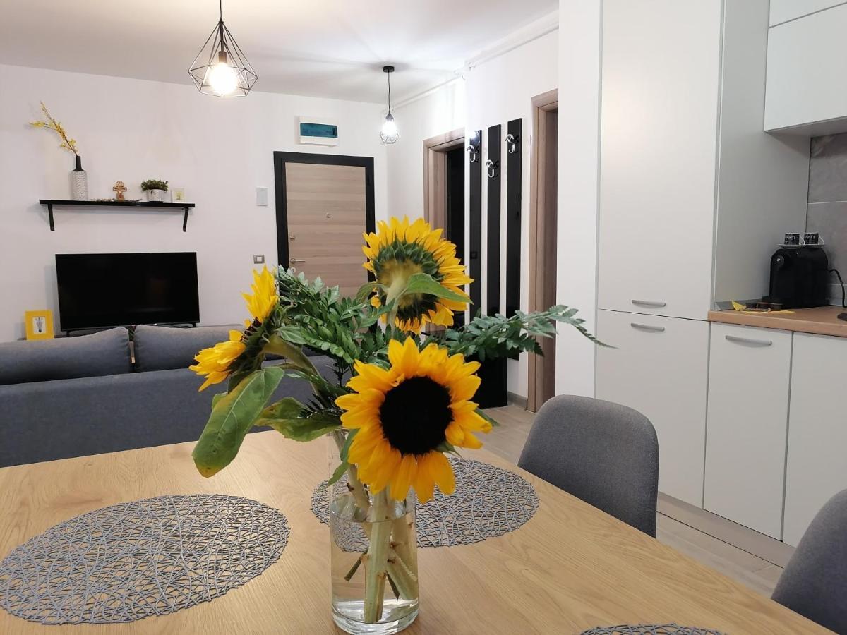 Alesea Ap-Alezzi Beach Resort Năvodari 외부 사진